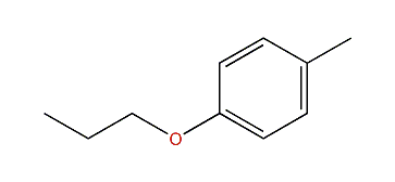 p-Cresyl propyl ether